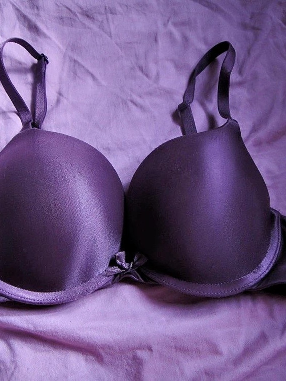 Dusty Purple Bra Size 32A